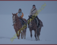 SEMSALES - 0041